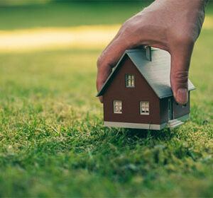 Terrain jolibois immo