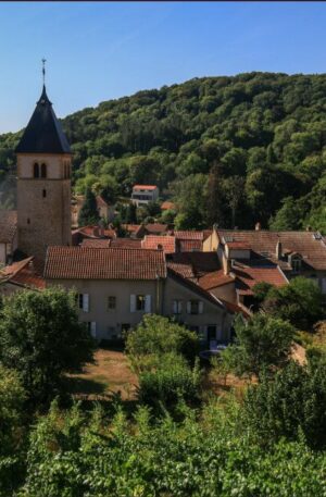 Terrain - VAUX - 764 m²