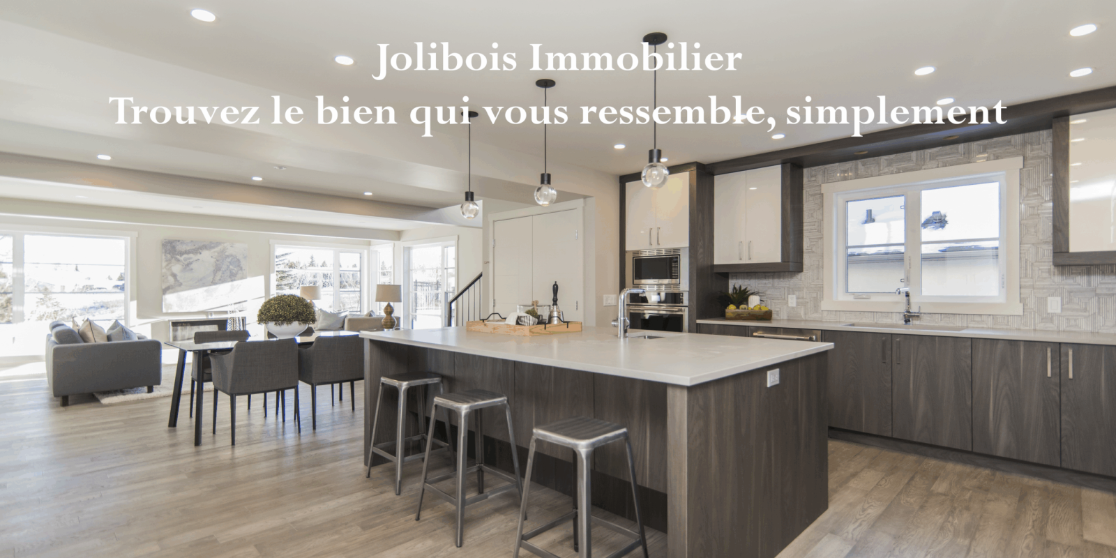 Jolibois immobilier Cosnes